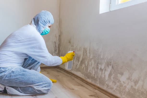Licensed Bathroom Mold Removal service in Jobstown, NJ - WQB Mold Removal