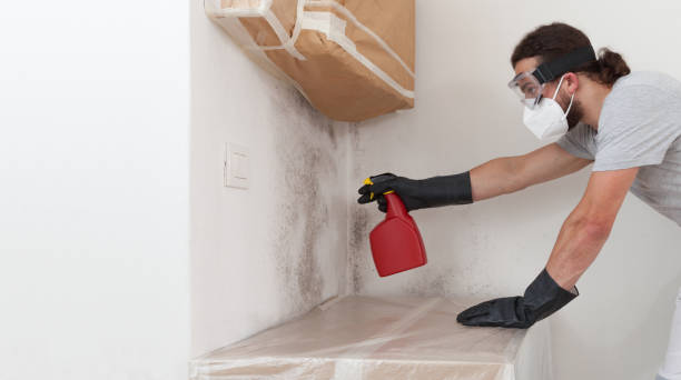 Professional Bathroom Mold Removal technician working in Jobstown, NJ
