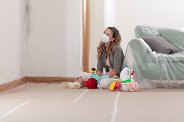 Reliable Bathroom Mold Removal contractor in Jobstown, NJ by WQB Mold Removal